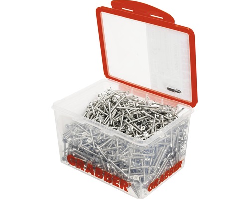 Grabber skruvar i genomskinlig behållare med rött lock