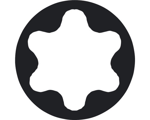 Torx skruvprofil