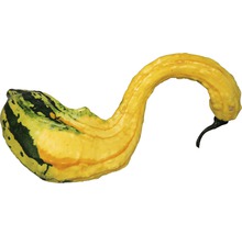 Gul prydnadspumpa
