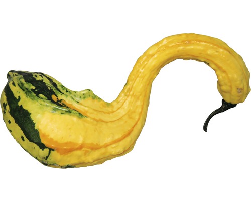 Gul prydnadspumpa