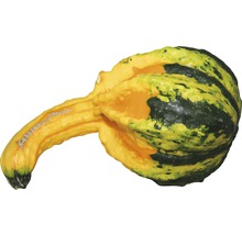 Dekorativ prydnadspumpa