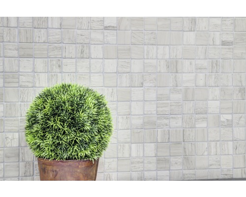 Scen med mosaikplattor och en krukväxt