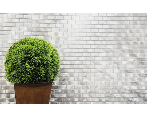 Dekorativ grön växt i kruka framför en vägg med metallmosaikplattor