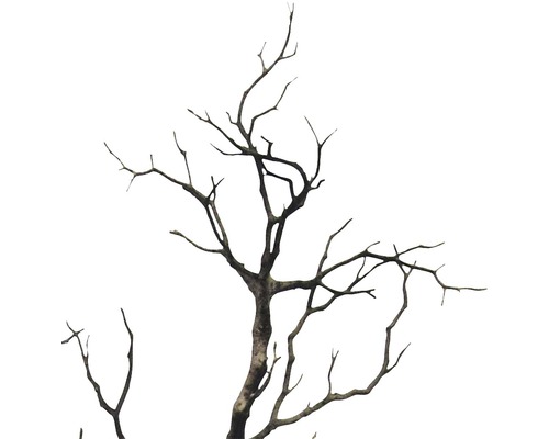 Dekorativ, kalt trädgren för inomhusbruk