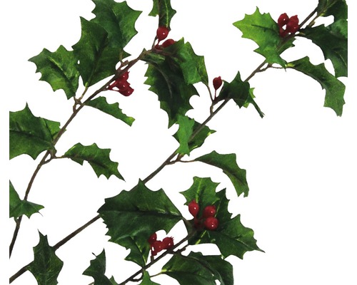 Stechpalmsgirlang med blad och bär som juldekoration