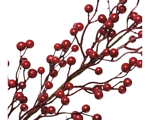 Dekorativa grenar med röda bär