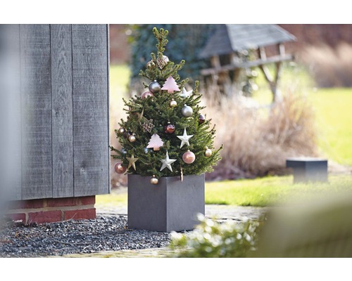 Dekorerad barrträd i planteringslåda för utomhusbruk