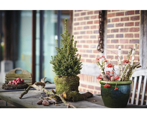 Dekorativt arrangemang med gran, bär och trä på ett bord