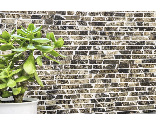 Väggplattor med stenmönster och grön krukväxt i kruka