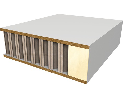 Lättviktsskiva i tvärsnitt