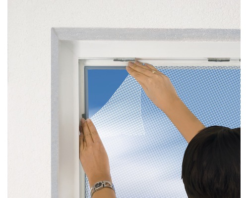 Person fäster ett insektsnät på ett fönster