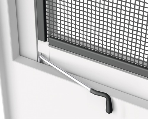 Närbild av ett insektsnät med manöverspak på fönstret