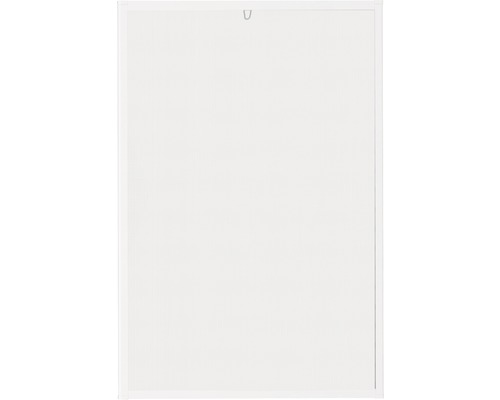 Insektsfönster med ram