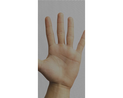 Hand bakom ett insektsnät