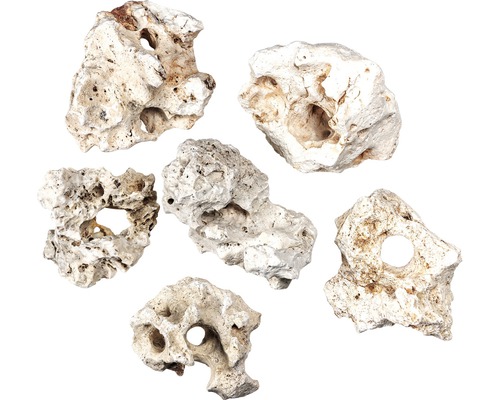 Flera hålstenar för akvarier