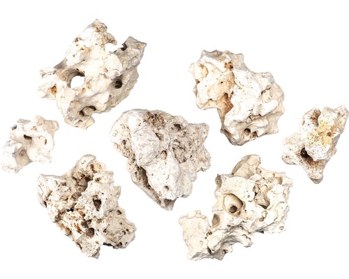 Sju hålstenar för akvarier