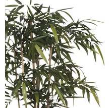 Konstväxt MICA Bambu 180cm i kruka-thumb-1