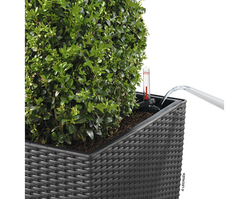 Vattning av en planteringslåda med vattennivåindikator