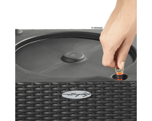 Närbild av en Lechuza blomkruka med bevattningssystem och en hand som sätter in ett mynt i bevattningsöppningen.