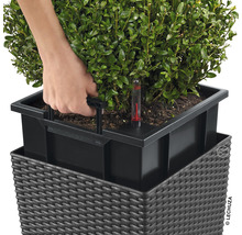Självvattnande blomkruka LECHUZA Cube Cottage plast 50x50x50cm ljusgrå inkl. substrat