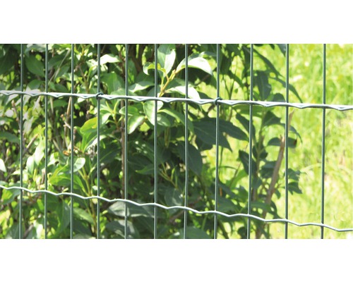 Metallstängsel framför buskar i trädgården