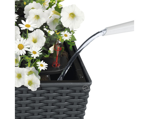Vattning av en planteringslåda med vattenindikator och vita blommor.