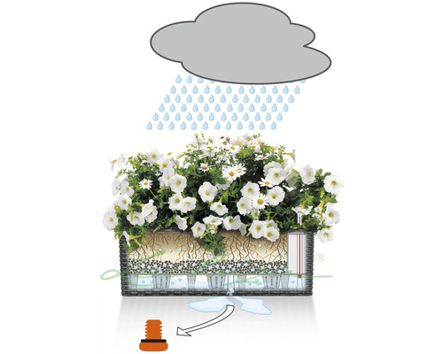 Illustration av en blomlåda med bevattningssystem i regn