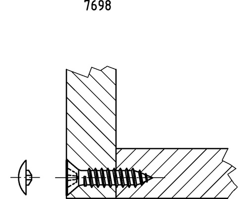 Ritning av en träskruv i en träbit