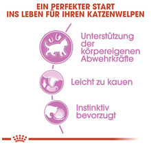 Kattmat ROYAL CANIN Kitten Jelly 12x85g