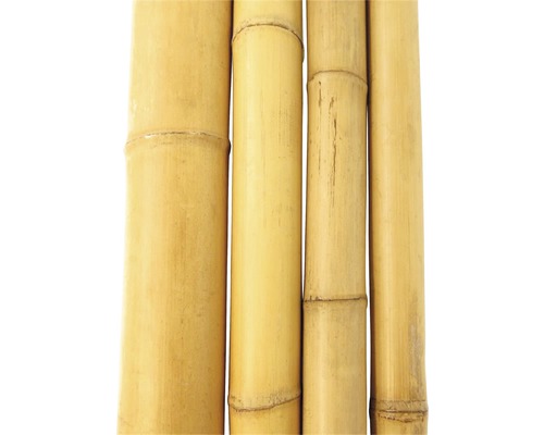 Detalj av bambustavar