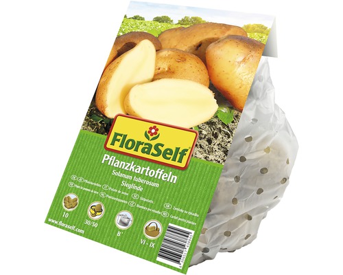 FloraSelf sättpotatis av sorten Sieglinde i perforerad påse