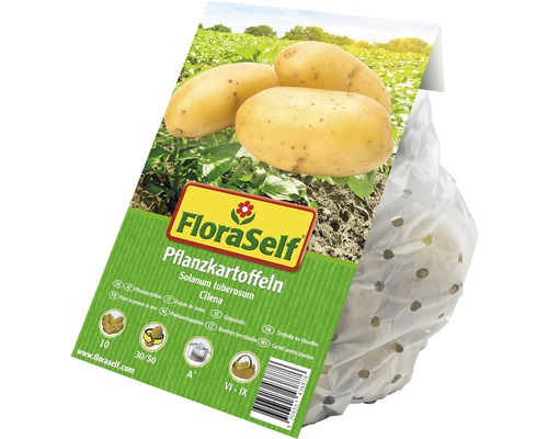 FloraSelf potatis Cilena i säck