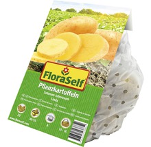 FloraSelf potatis utsäde sort Linda, Solanum tuberosum i försäljningsnät