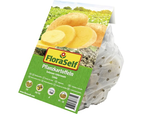 FloraSelf potatis utsäde sort Linda, Solanum tuberosum i försäljningsnät