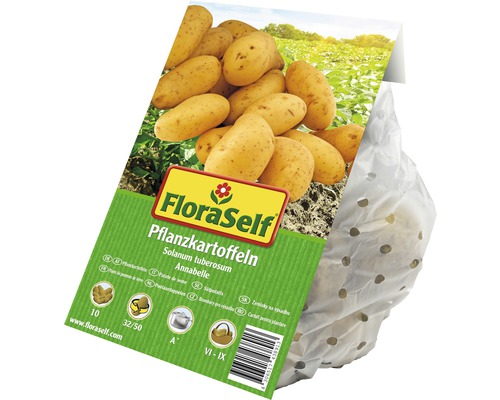 FloraSelf sättpotatis Annabelle, 10 stycken