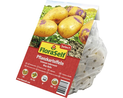FloraSelf potatis utsäde sort Blue Belle, 10 stycken, storlek 35 till 50 millimeter