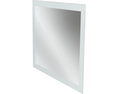 Rektangulär spegel med ram