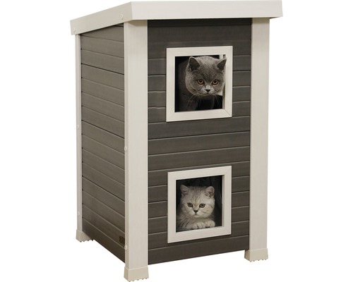 Katt hus med två katter som tittar ut genom fönstren