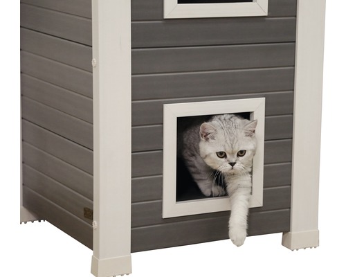Katt går in i ett grått katthus med vit ram