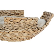 Närbild av en kattsäng i vattenhyacint med kudde