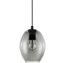 Pendellampa med transparent lampskärm och ljuskälla