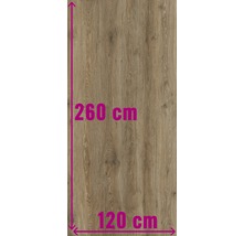 Träpanel med måtten 260 gånger 120 centimeter