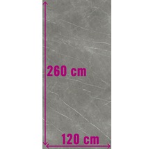 Stor grå väggplatta med marmorstruktur, 260 cm hög och 120 cm bred