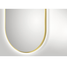 Oval spegel med guldram