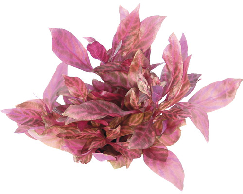 Konstgjord akvarieväxt med blad