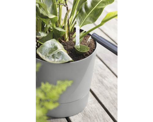 Vattning av en krukväxt med en vattenmätare i en blomkruka