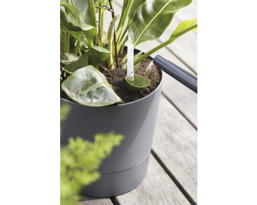 Bevattning av en krukväxt i en grå blomkruka med vattennivåindikator.