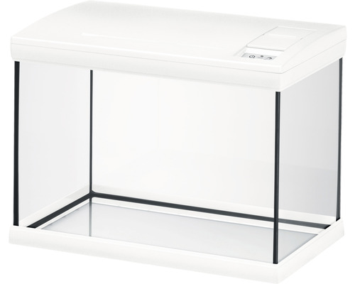 Vitt akvarium i glas med lock