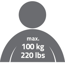 Symbol för maximal viktbelastning på 100 kg
