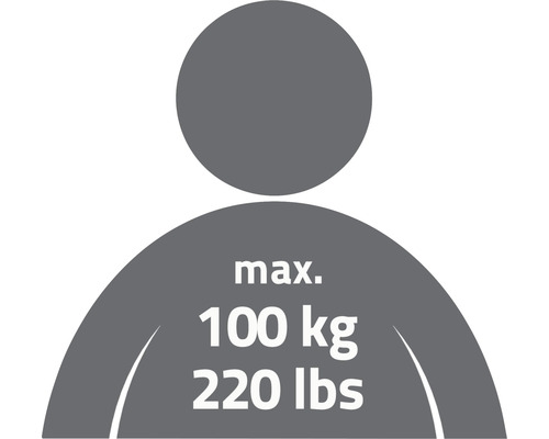 Symbol för maximal viktbelastning på 100 kg